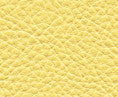 Classic(Contract Vinyl) # 103 Chamomile by Maxwell Designer Fabric