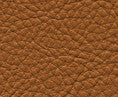 Classic(Contract Vinyl) # 112 Rodeo by Maxwell Designer Fabric
