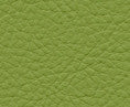 Classic(Contract Vinyl) # 113 Scallion by Maxwell Designer Fabric