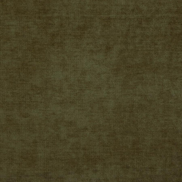 Chadwick(New) # 1639 Olive by Maxwell Designer Fabric Curled Up Iii 53% ACRYLIC/42% POLYESTER 5% VISCOSE TURKEY 55" - Swanky Fabrics -