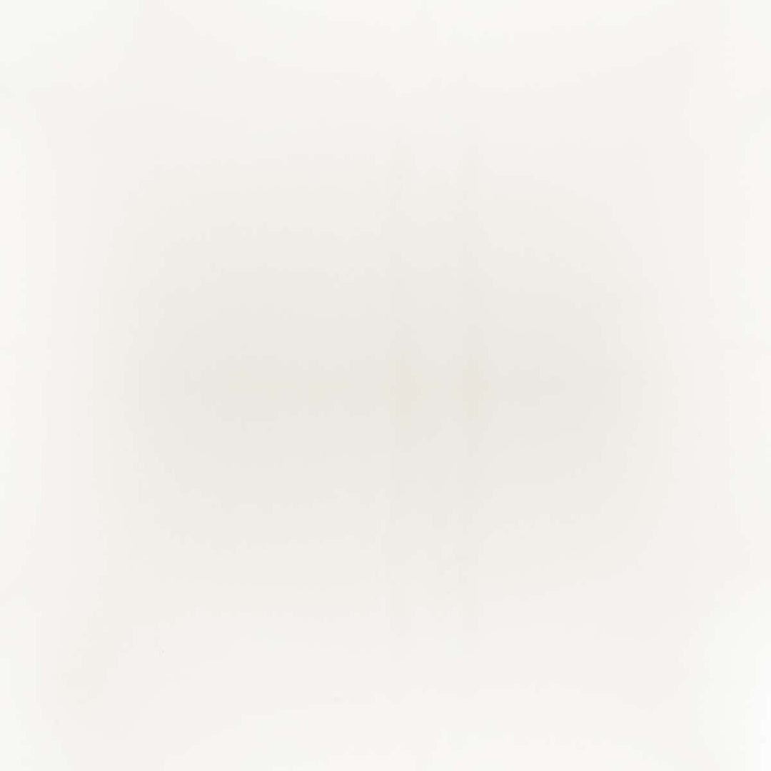 10200-0026 Capriccio Dover White by Sunbrella Fabric
