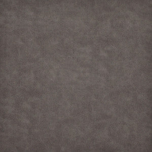 Chambers-Ess # 801 Stingray by Maxwell Designer Fabric