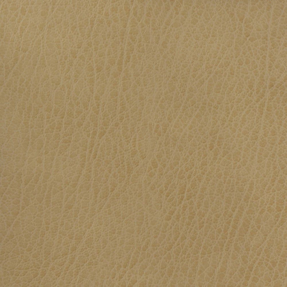 Kravet Basics Celine-106 by Kravet Basics Fabric Kravet Basics Fabric Kravet Basics Celine-106Fabric POLYURETHANE - 100% China </p><p>Repeat: H: , V: 54 - Fabric Carolina -