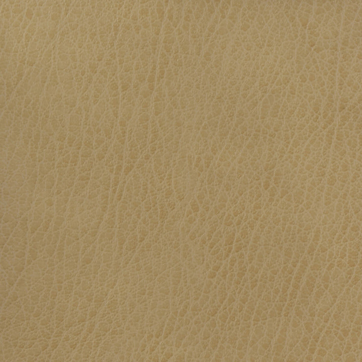 Kravet Basics Celine-106 by Kravet Basics Fabric Kravet Basics Fabric Kravet Basics Celine-106Fabric POLYURETHANE - 100% China </p><p>Repeat: H: , V: 54 - Fabric Carolina -