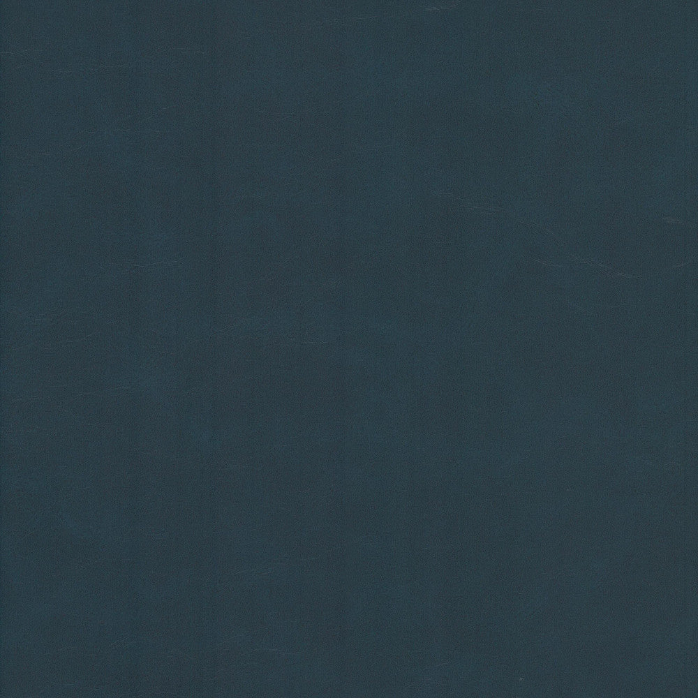 Cervantes 10 Baltic by Stout Fabric Stout Fabric Cervantes 10 BalticFabric LEATHER LOOKS V 100%PVC 1%OTH CHINA </p><p>Repeat: H: 0.000, V: 0.000 54 in - Fabric Carolina -
