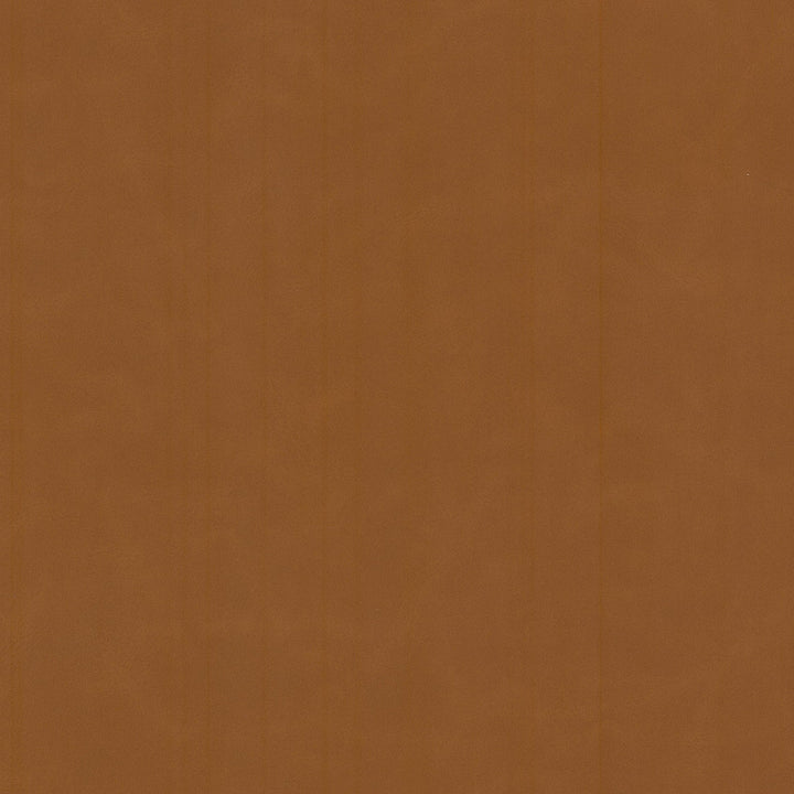 Cervantes 2 Pecan by Stout Fabric Stout Fabric Cervantes 2 PecanFabric LEATHER LOOKS V 100%PVC 1%OTH CHINA </p><p>Repeat: H: 0.000, V: 0.000 54 in - Fabric Carolina -