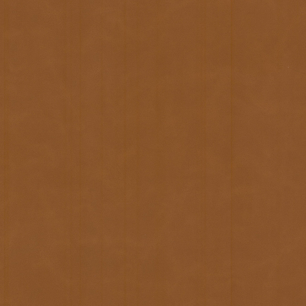 Cervantes 2 Pecan by Stout Designer Fabric LEATHER LOOKS V 100%PVC 1%OTH CHINA PERFORMANCE RATED FABRIC FLAME RETARDANT-N.F.P.A. 260A CLASS 1 CATB 117-2013 WYZENBEEK 500 000 DOUBLE RUB WEAR TEST(EXTREMELY HEAVY DUTY) Horizontal: 0.000 and Vertical: 0.000 54 in - Swanky Fabrics -