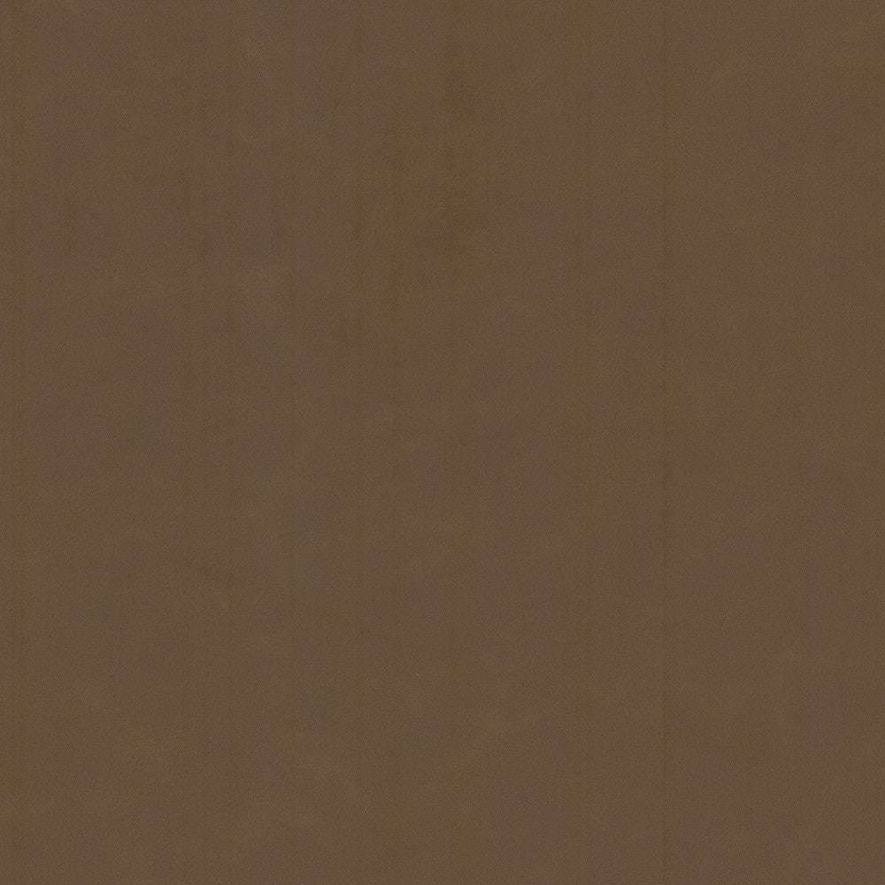Cervantes 4 Bark by Stout Fabric Stout Fabric Cervantes 4 BarkFabric LEATHER LOOKS V 100%PVC 1%OTH CHINA </p><p>Repeat: H: 0.000, V: 0.000 54 in - Fabric Carolina -
