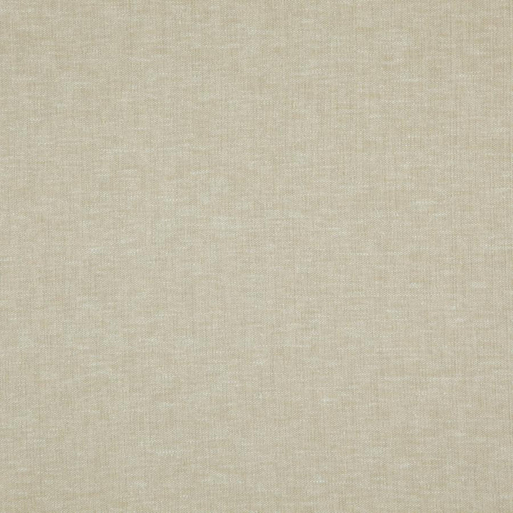 Cloud # 05 Seagrass by Maxwell Designer Fabric Pure & Simple Viii 72% POLYESTER/28% COTTON INDIA 54.25" - Swanky Fabrics -