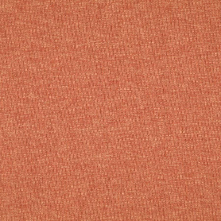 Cloud # 24 Koi by Maxwell Designer Fabric PURE & SIMPLE VIII 72% POLYESTER/28% COTTON INDIA 54.25" - Swanky Fabrics -