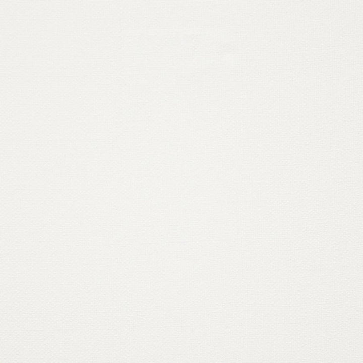 Calder # 108 Gauze by Maxwell Designer Fabric Wide Width Basics 100% POLYESTER TURKEY 118" - Swanky Fabrics -