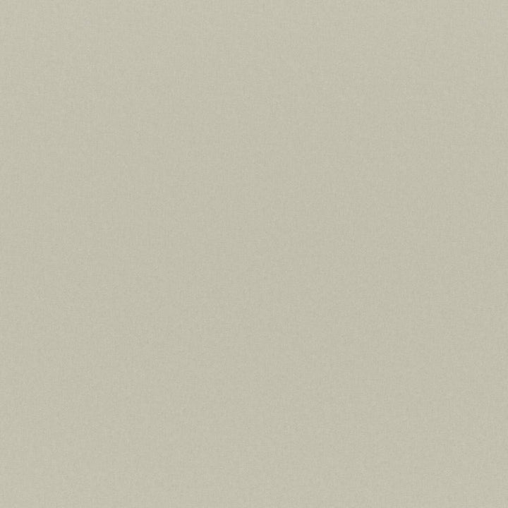 Cadenza # 711 Natural by Maxwell Designer Fabric Curled Up Vii 100% POLYESTER CHINA 56" - Swanky Fabrics -