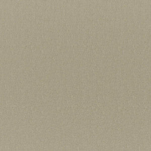 Cadenza # 736 Seagrass by Maxwell Designer Fabric