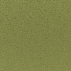 Cadenza # 741 Grass by Maxwell Designer Fabric