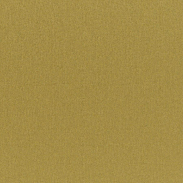 Cadenza # 748 Maize by Maxwell Designer Fabric Curled Up Vii 100% POLYESTER CHINA 56" - Swanky Fabrics -
