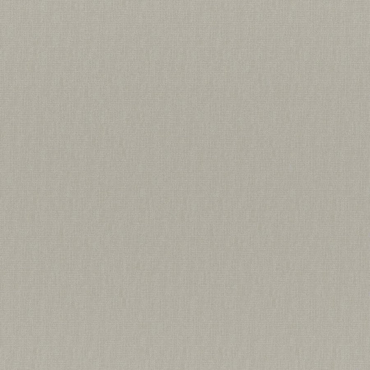 Chico # 219 Siamese by Maxwell Designer Fabric Colorguard-Nougat 64% POLYESTER/32% VISCOSE 4% COTTON INDIA 55" - Swanky Fabrics -