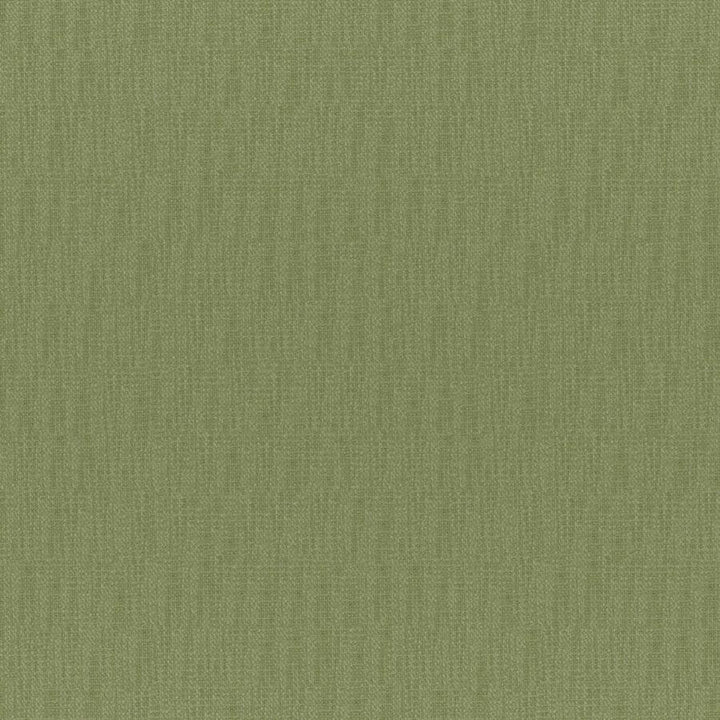 Chico # 831 Aloe by Maxwell Designer Fabric Colorguard-Amazonia 64% POLYESTER/32% VISCOSE 4% COTTON INDIA 55" - Swanky Fabrics -