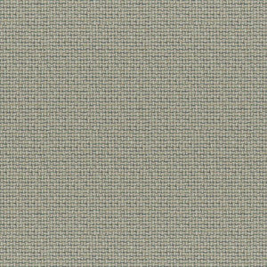 Caracara # 830 Baltic by Maxwell Designer Fabric