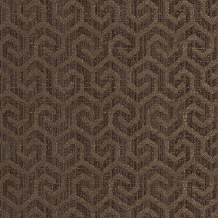 Camino # 360 Pinecone by Maxwell Designer Fabric Colorguard-Pashmina 100% POLYESTER INDIA V-2.5" H-1.3" 54.7" - Swanky Fabrics -
