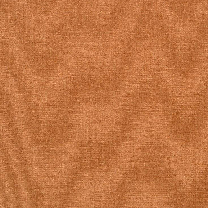 Champion 24J6391 by JF Designer Fabric Champion Book 83% Polyester, 17% Cotton India 90000 Horizontal: and Vertical: 55 - Swanky Fabrics -