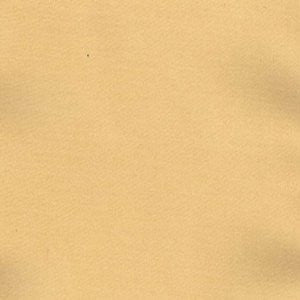 Charm Apricot by Norbar Designer Fabric 100% POLYESTER INDIA 54" - Swanky Fabrics -