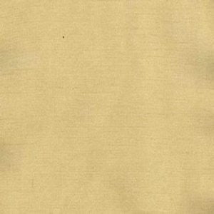 Charm Camel by Norbar Designer Fabric 100% POLYESTER INDIA 54" - Swanky Fabrics -