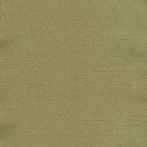 Charm Kiwi by Norbar Designer Fabric