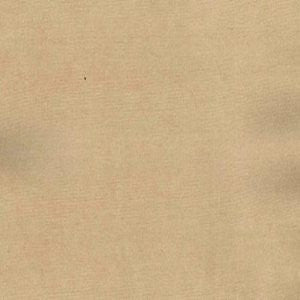 Charm Muslin by Norbar Designer Fabric 100% POLYESTER INDIA 54" - Swanky Fabrics -