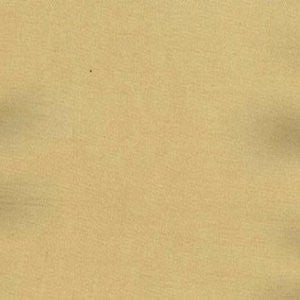 Charm Toast by Norbar Designer Fabric 100% POLYESTER INDIA 54" - Swanky Fabrics -