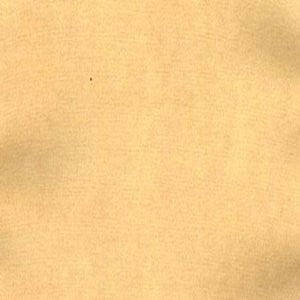 Charm Wheat by Norbar Designer Fabric 100% POLYESTER INDIA 54" - Swanky Fabrics -