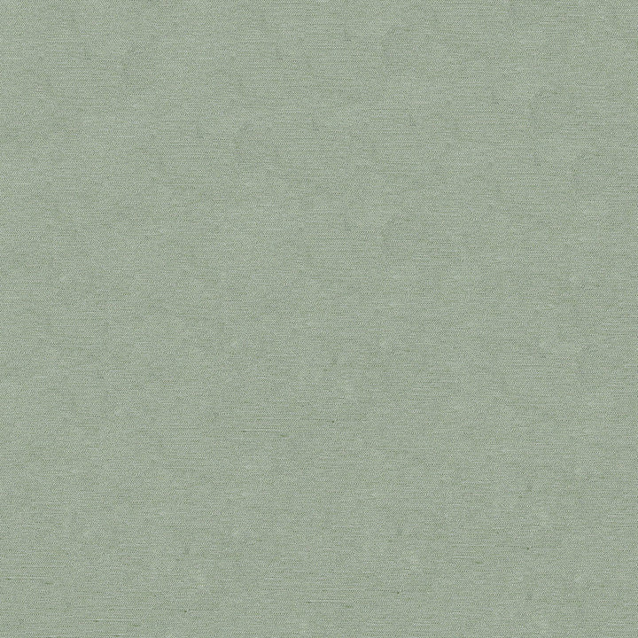 Pursue 21 Mint by ABBEYSHEA Designer Fabric N/A 78% Polyester, 22% Rayon China 170,000 Double Rubs </p><p>Repeat: Horizontal: and Vertical: 54" (137 cm) - Swanky Fabrics -