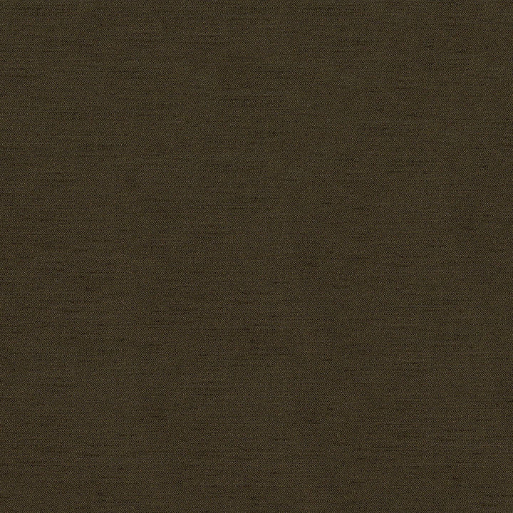 Pursue 8006 Acorn by ABBEYSHEA Designer Fabric N/A 78% Polyester, 22% Rayon China 170,000 Double Rubs </p><p>Repeat: Horizontal: and Vertical: 54" (137 cm) - Swanky Fabrics -