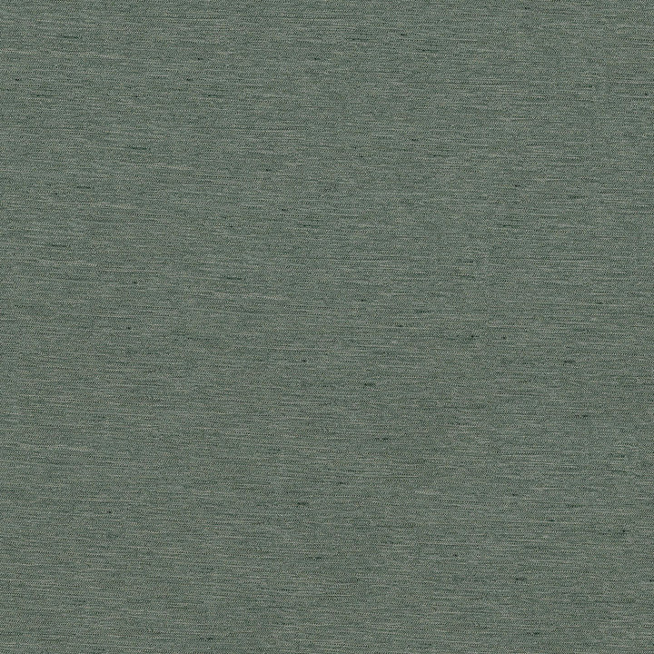 Pursue 9006 Graphite by ABBEYSHEA Designer Fabric N/A 78% Polyester, 22% Rayon China 170,000 Double Rubs </p><p>Repeat: Horizontal: and Vertical: 54" (137 cm) - Swanky Fabrics -