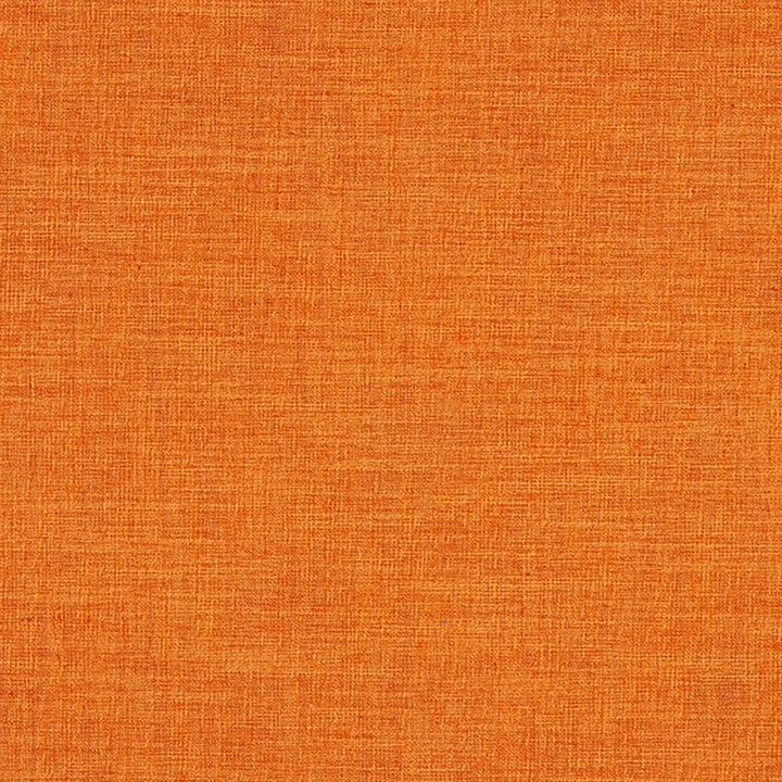 Chatham 26J7031 by JF Crypton Designer Fabric Crypton Binder 100% Polyester India 50000 Horizontal: and Vertical: 54 - Swanky Fabrics -