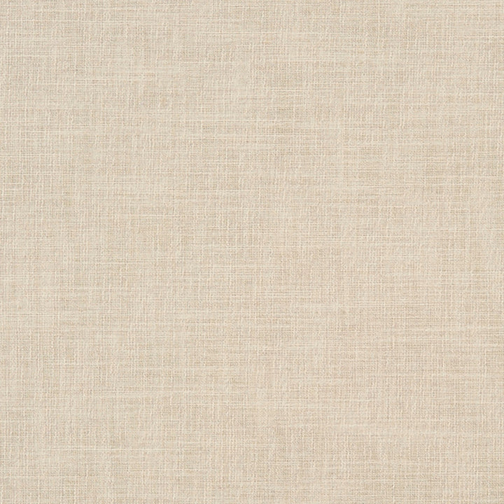 Chatham 31J7031 by JF Crypton Designer Fabric Crypton Binder 100% Polyester India 50000 Horizontal: and Vertical: 54 - Swanky Fabrics -