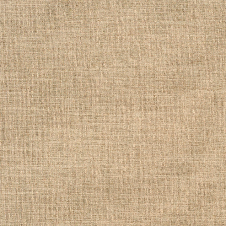 Chatham 32J7031 by JF Crypton Designer Fabric Crypton Binder 100% Polyester India 50000 Horizontal: and Vertical: 54 - Swanky Fabrics -