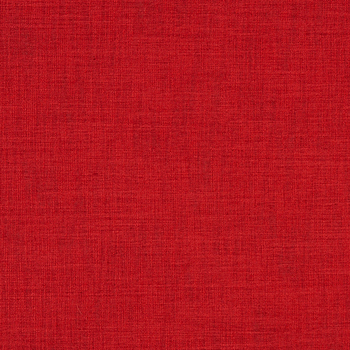 Chatham 45J7031 by JF Crypton Designer Fabric Crypton Binder 100% Polyester India 50000 Horizontal: and Vertical: 54 - Swanky Fabrics -