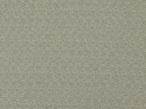 Cha Cha 110 Stonewash by Covington Designer Fabric