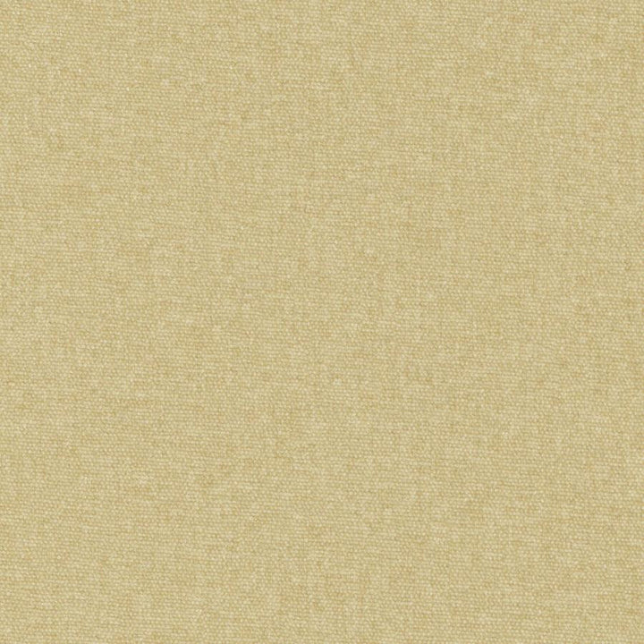 Conte # 804 Oatmeal by Maxwell Designer Fabric Curled Up Viii 100% POLYESTER INDIA 54" - Swanky Fabrics -