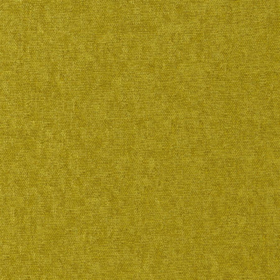 Conte # 806 Turtle by Maxwell Designer Fabric Curled Up Viii 100% POLYESTER INDIA 54" - Swanky Fabrics -