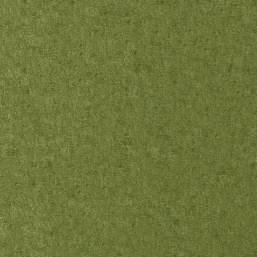 Conte # 811 Grass by Maxwell Designer Fabric Curled Up Viii 100% POLYESTER INDIA 54" - Swanky Fabrics -
