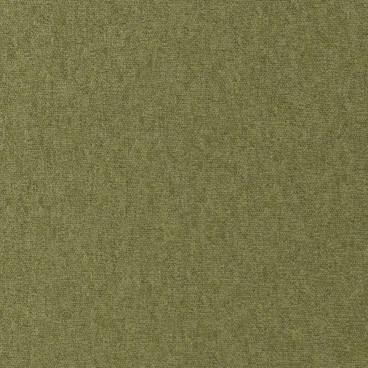 Conte # 812 Olive by Maxwell Designer Fabric Curled Up Viii 100% POLYESTER INDIA 54" - Swanky Fabrics -