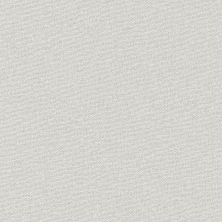 Conte # 857 Sterling by Maxwell Designer Fabric Curled Up Viii 100% POLYESTER INDIA 54" - Swanky Fabrics -