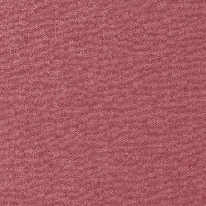 Conte # 881 Peony by Maxwell Designer Fabric Curled Up Viii 100% POLYESTER INDIA 54" - Swanky Fabrics -