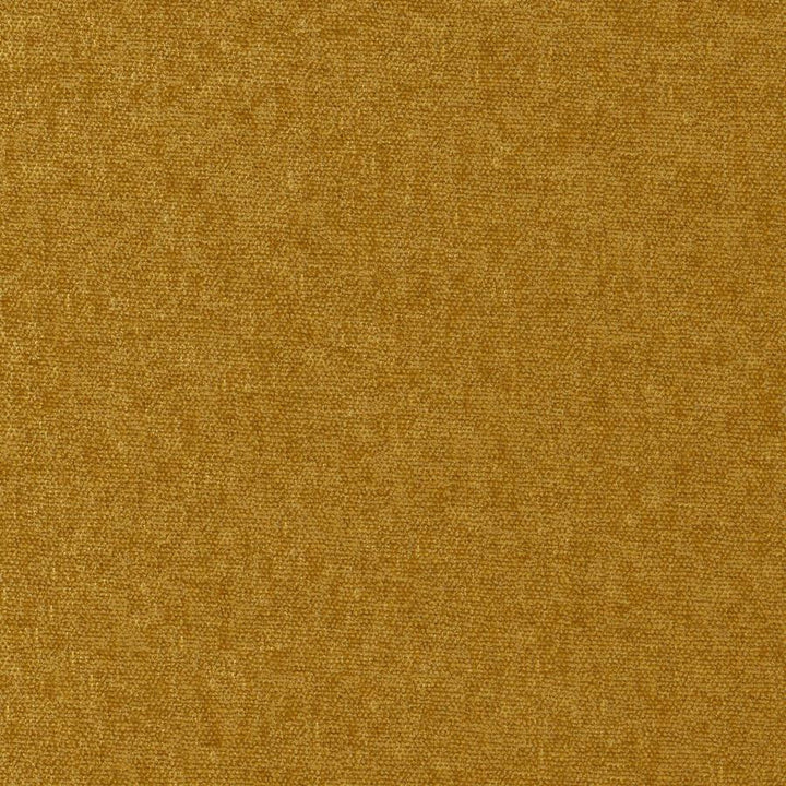 Conte # 903 Butterscotch by Maxwell Designer Fabric Curled Up Viii 100% POLYESTER INDIA 54" - Swanky Fabrics -
