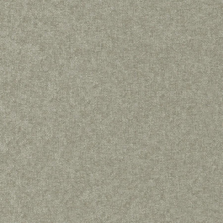 Conte # 905 Funghi by Maxwell Designer Fabric Curled Up Viii 100% POLYESTER INDIA 54" - Swanky Fabrics -