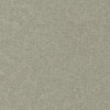 Conte # 905 Funghi by Maxwell Designer Fabric