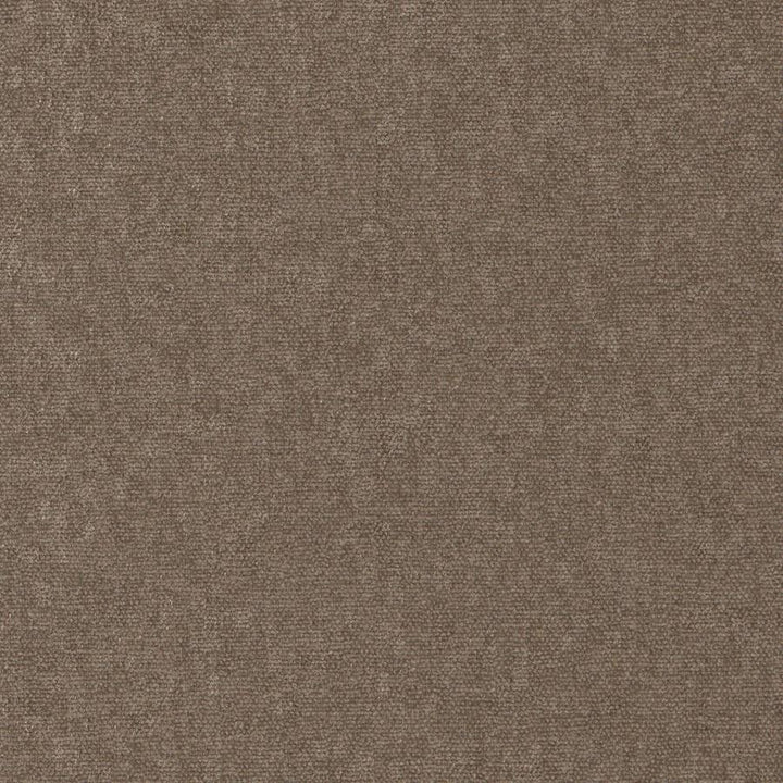 Conte # 911 Beaver by Maxwell Designer Fabric Curled Up Viii 100% POLYESTER INDIA 54" - Swanky Fabrics -