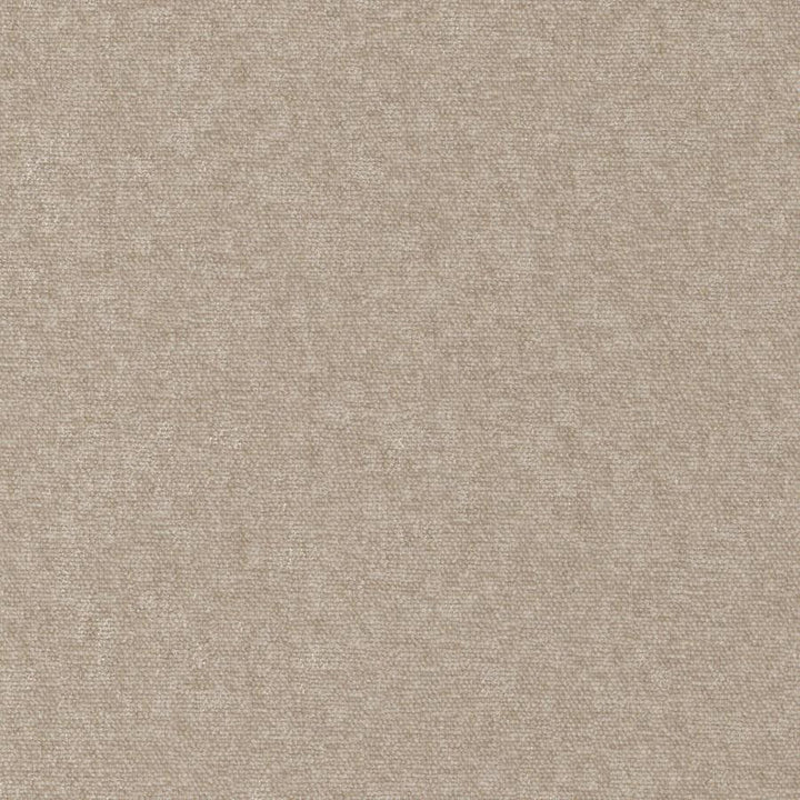 Conte # 928 Taupe by Maxwell Designer Fabric Curled Up Viii 100% POLYESTER INDIA 54" - Swanky Fabrics -