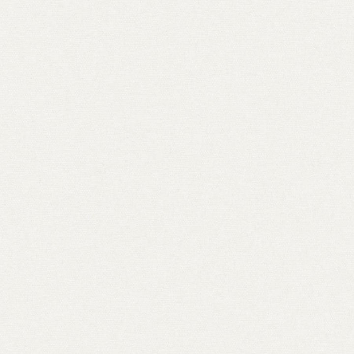 Conte # 946 Bone by Maxwell Designer Fabric Curled Up Viii 100% POLYESTER INDIA 54" - Swanky Fabrics -